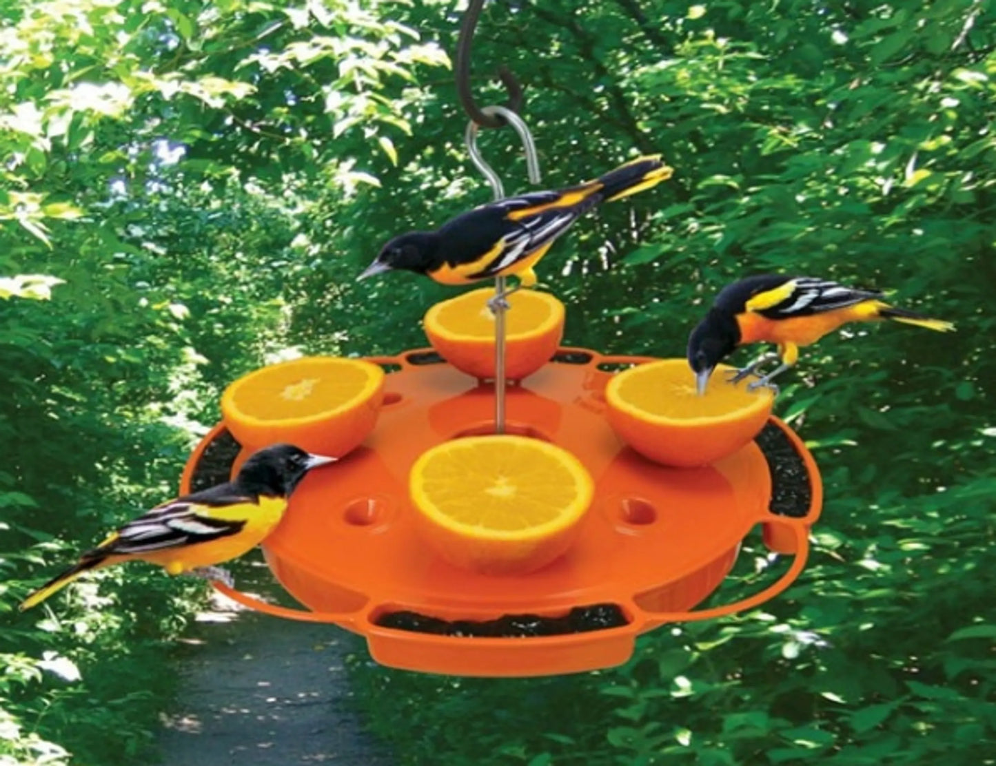 Ultimate Oriole Feeder